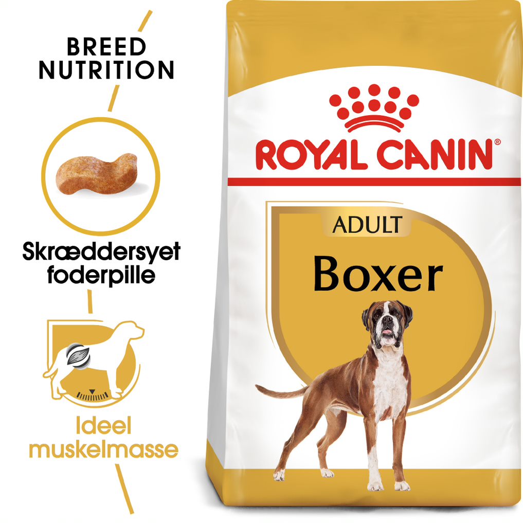 Adult Boxer 12 kg