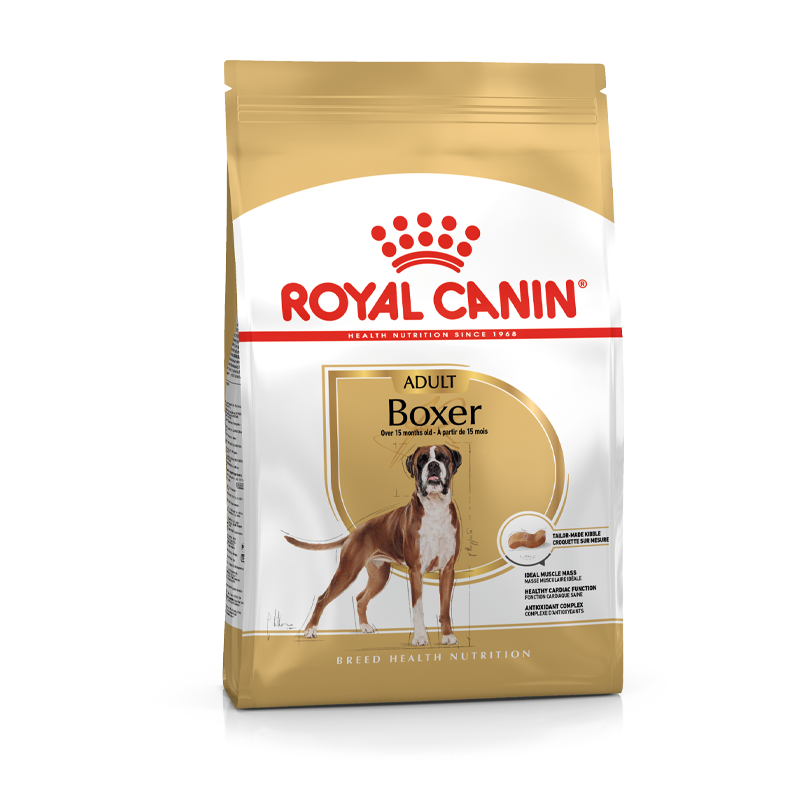 Adult Boxer 12 kg