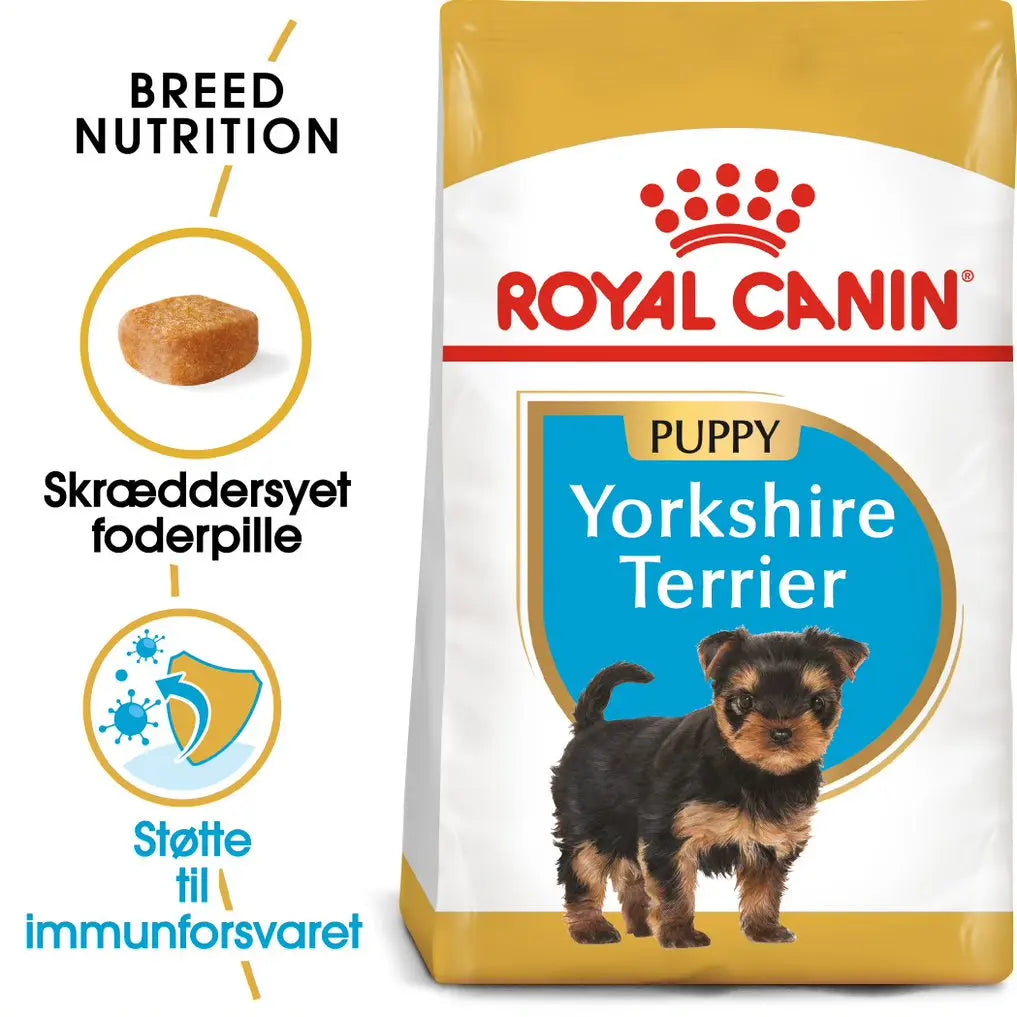 Yorkshire Terrier Puppy 1,5 kg - Maxi Zoo Danmark