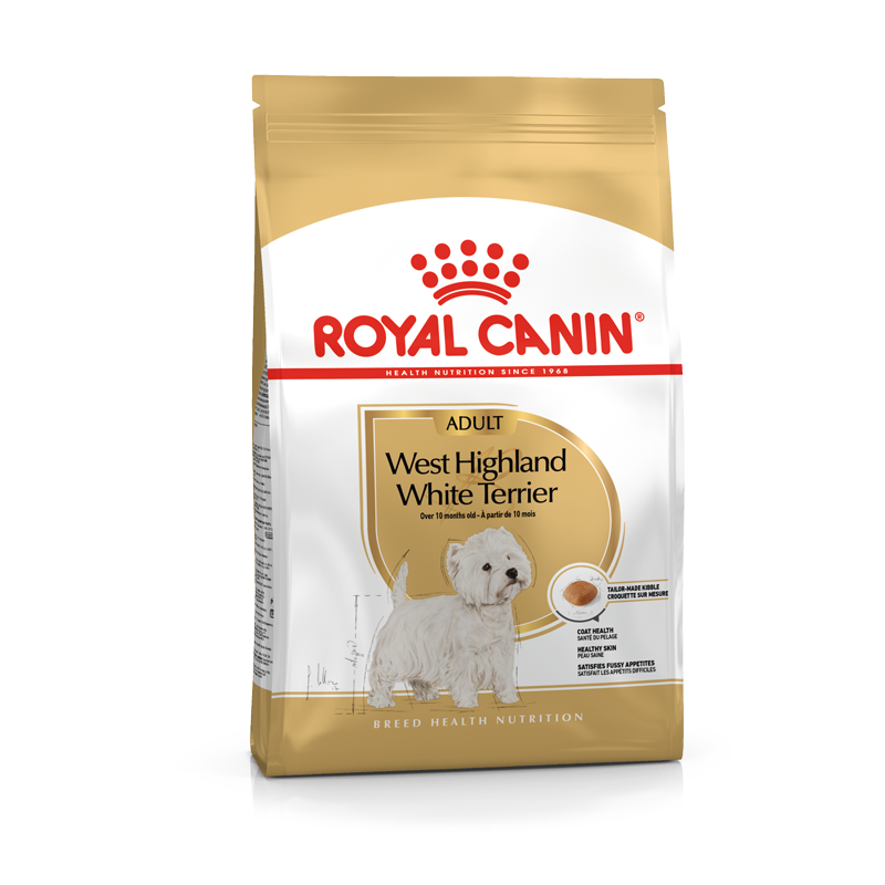 Adult West Highland Terrier1,5 kg