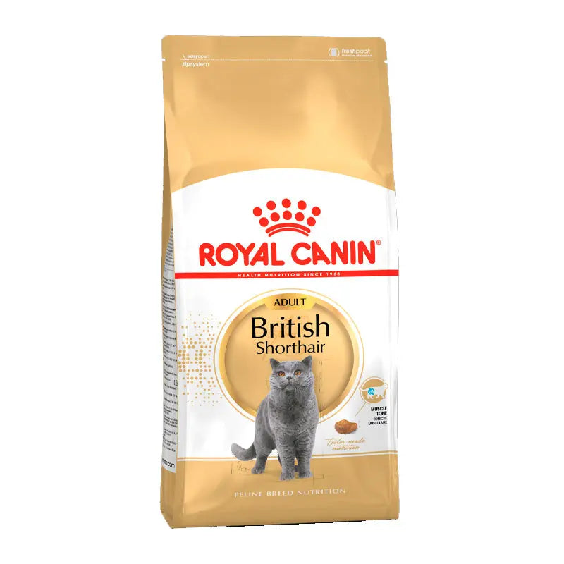 Adult > 12 British shorthair 400 g - Maxi Zoo Danmark