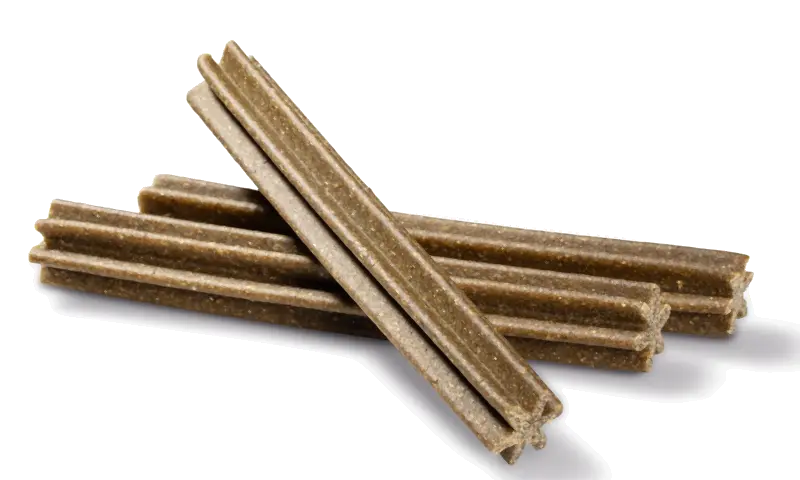 Dental Care Sticks Large mint 28 stk 4x270 g - Maxi Zoo Danmark