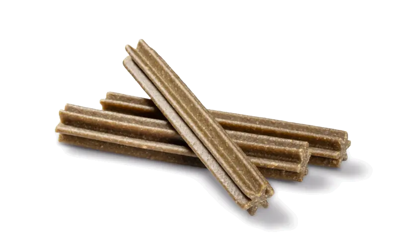 Dental Care Sticks Medium mint 28 stk - Maxi Zoo Danmark