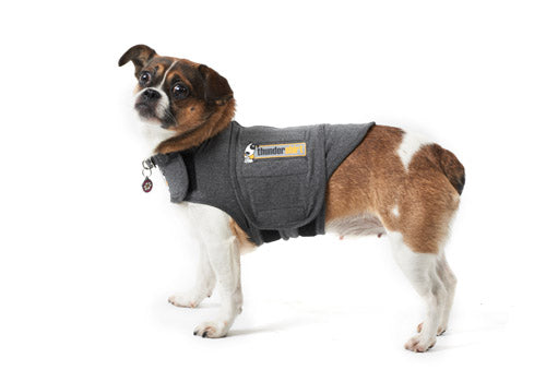 Thundershirt til hund xx-small 23-33 cm < 4 kg grå