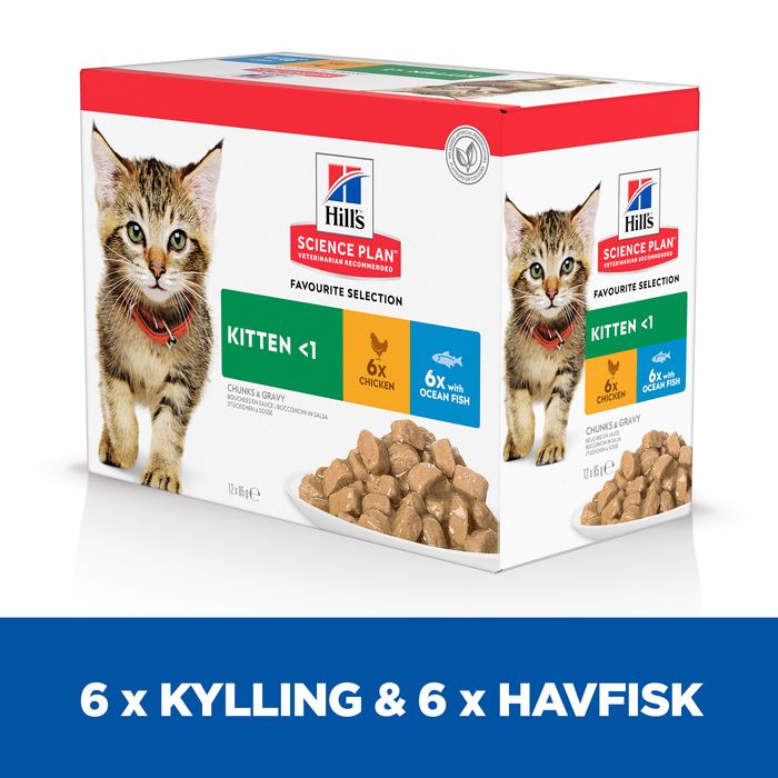 Kitten Healthy Dev., menu pou kylling & fisk 12 x 85 g - Maxi Zoo Danmark