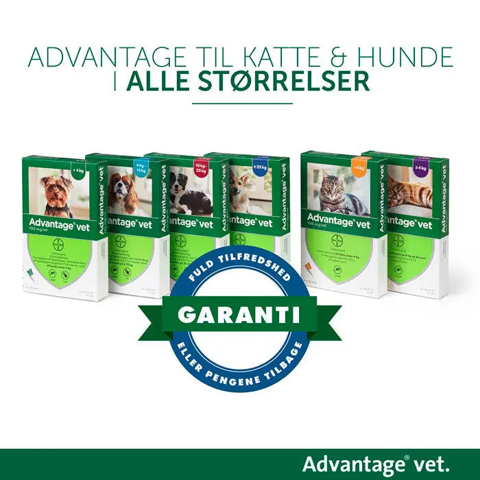 Loppemiddel kat over 4 kg - 4x0,8 ml - Maxi Zoo Danmark