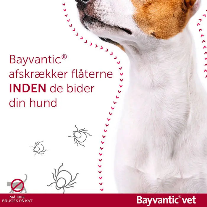 Flåt- & loppemiddel hund 4-10 kg - 4x1,0 ml - Maxi Zoo Danmark