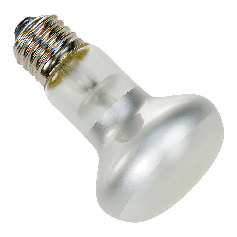 Spotlampe 75 w - Maxi Zoo Danmark