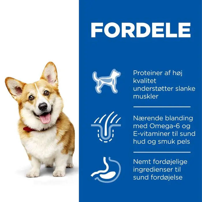 Adult Small & Mini kylling 6 kg - Maxi Zoo Danmark