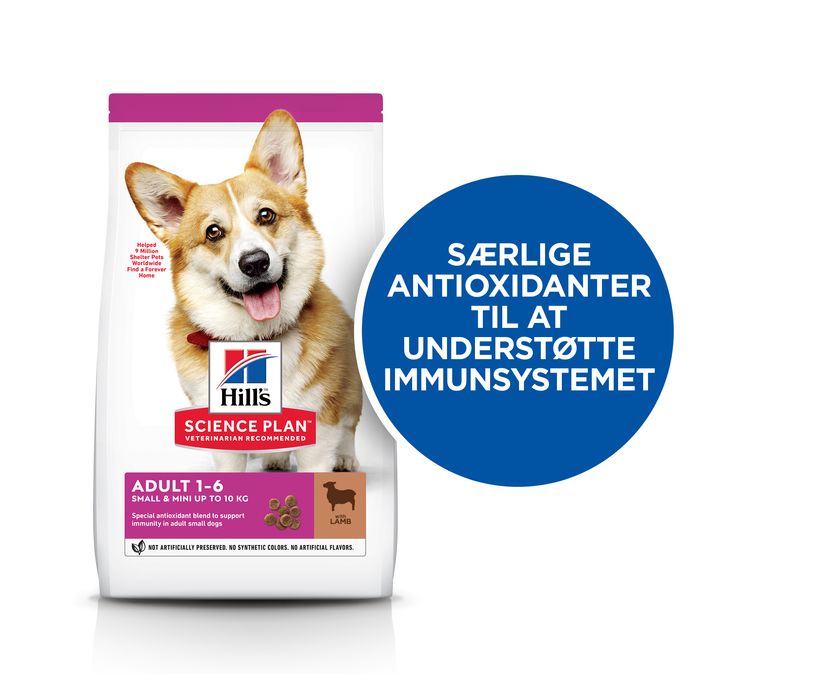 Adult Small & Minilam og ris 6 kg - Maxi Zoo Danmark