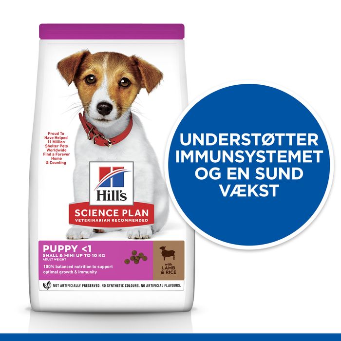 Adult Small & Minilam og ris 6 kg - Maxi Zoo Danmark