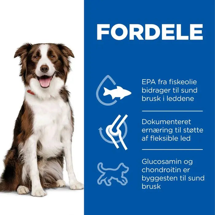 Adult Healthy Mobility Medium 14 kg - Maxi Zoo Danmark