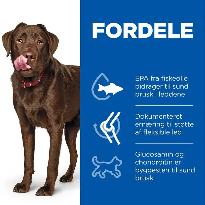 Adult Healthy Mobility Large Breed 14 kg - Maxi Zoo Danmark