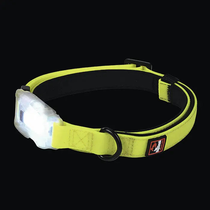 USB lyshalsbånd Polar Light S ca 300 m synlighed gul - Maxi Zoo Danmark
