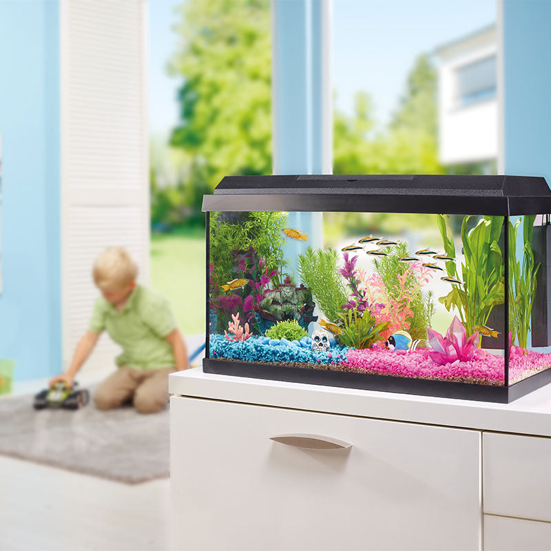 Akvarie Kids Startersæt57 liter - Maxi Zoo Danmark