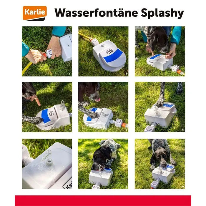 Vandfontaine Splashy til haveslangen - Maxi Zoo Danmark