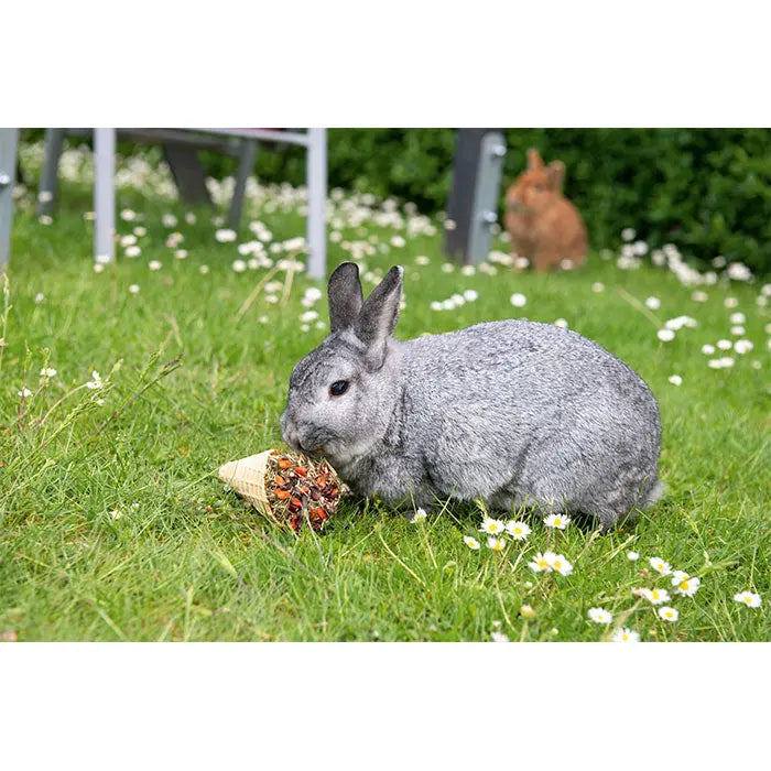 Gnaversnack Celebretion waffelcrossaint 60 g - Maxi Zoo Danmark