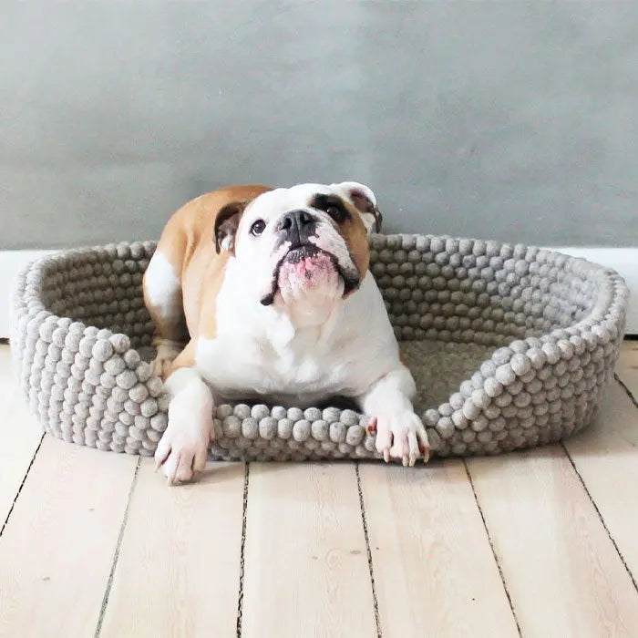 Hundeseng Brun - Maxi Zoo Danmark