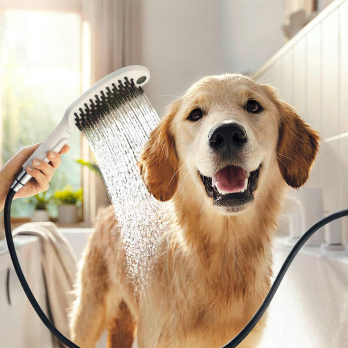 Hundebruser Hvid