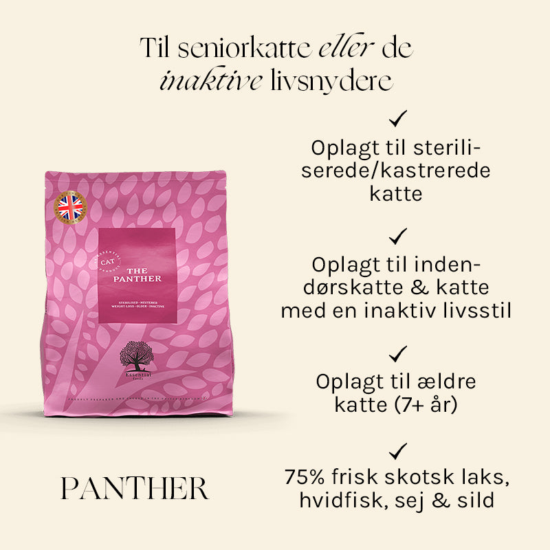 Adult The Panther, sterilised