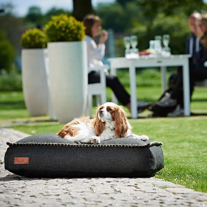 Dog bed Sort - Maxi Zoo Danmark