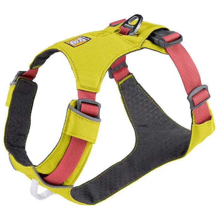 Sele Hi & Light XS Gul - Maxi Zoo Danmark