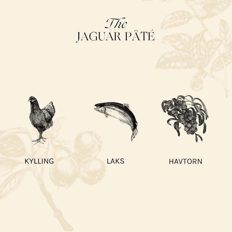 Adult The Jaguar Pâté, kylling, lever & laks 12x85 g