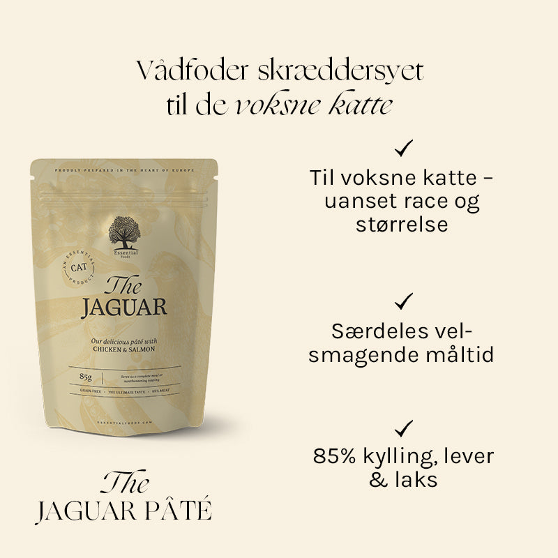 Adult The Jaguar Pâté, kylling, lever & laks 12x85 g