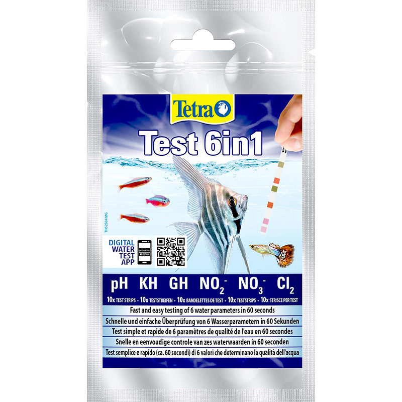 Test 6i1
