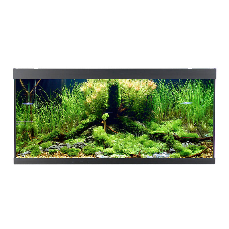 Akvarium ELEMENT 180 l 100x40x48 cm sort