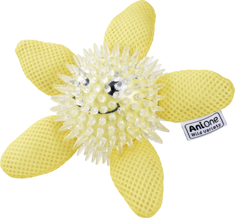 Vandlegetøj søstjerne 15 cm - Maxi Zoo Danmark