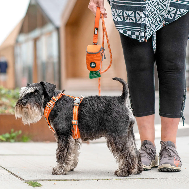 Comfort Walk Air sele Orange-Sun - Maxi Zoo Danmark