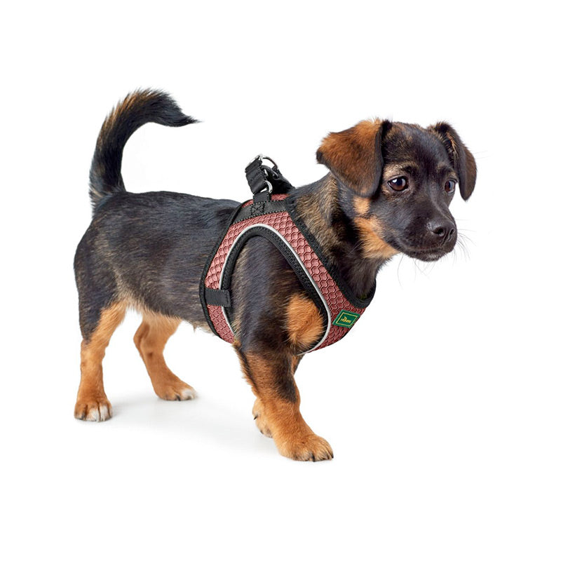 Hilo Comfort hundesele M-L 65-70 cm rosa