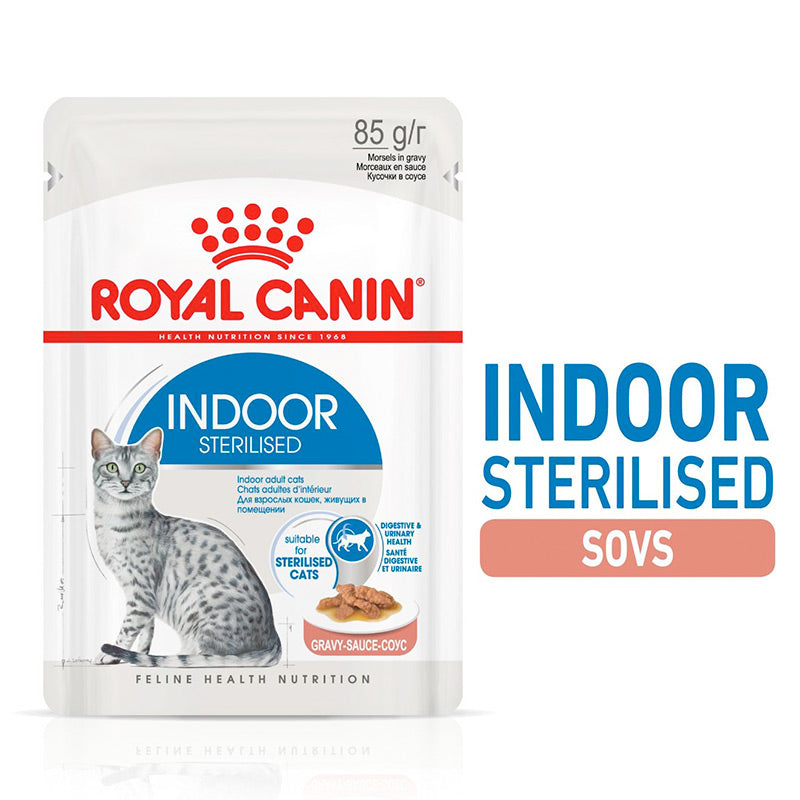 Adult Indoor Gravy menu boks, 85g