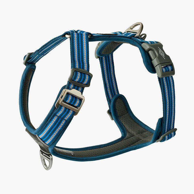 Comfort Walk Air sele Ocean-Blue - Maxi Zoo Danmark