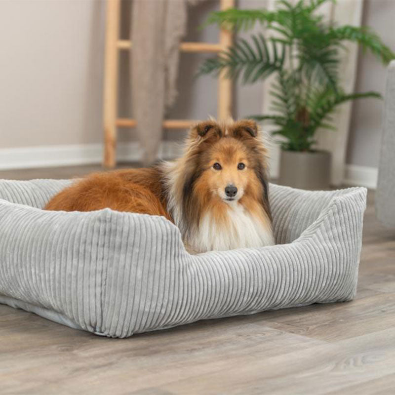 Hundeseng Jonna Grå - Maxi Zoo Danmark