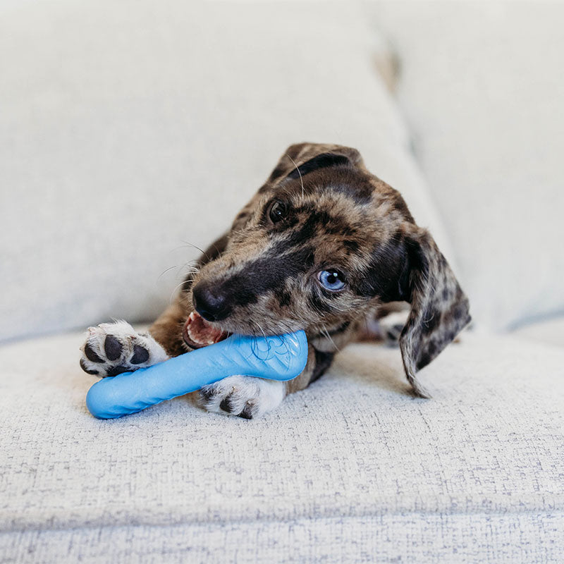 Puppy Wishbone 2-pak - Maxi Zoo Danmark