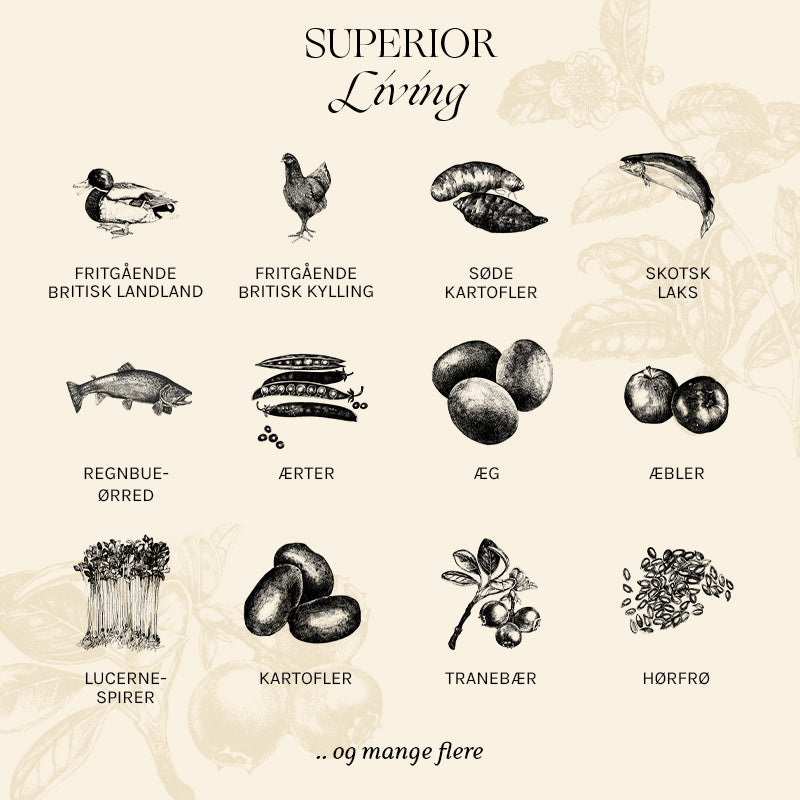 Adult Superior Living