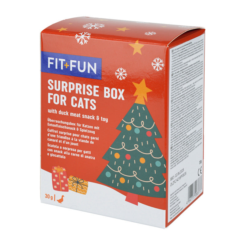 Overraskelsesboks kat XMAS legetøj + godbidder, 30g