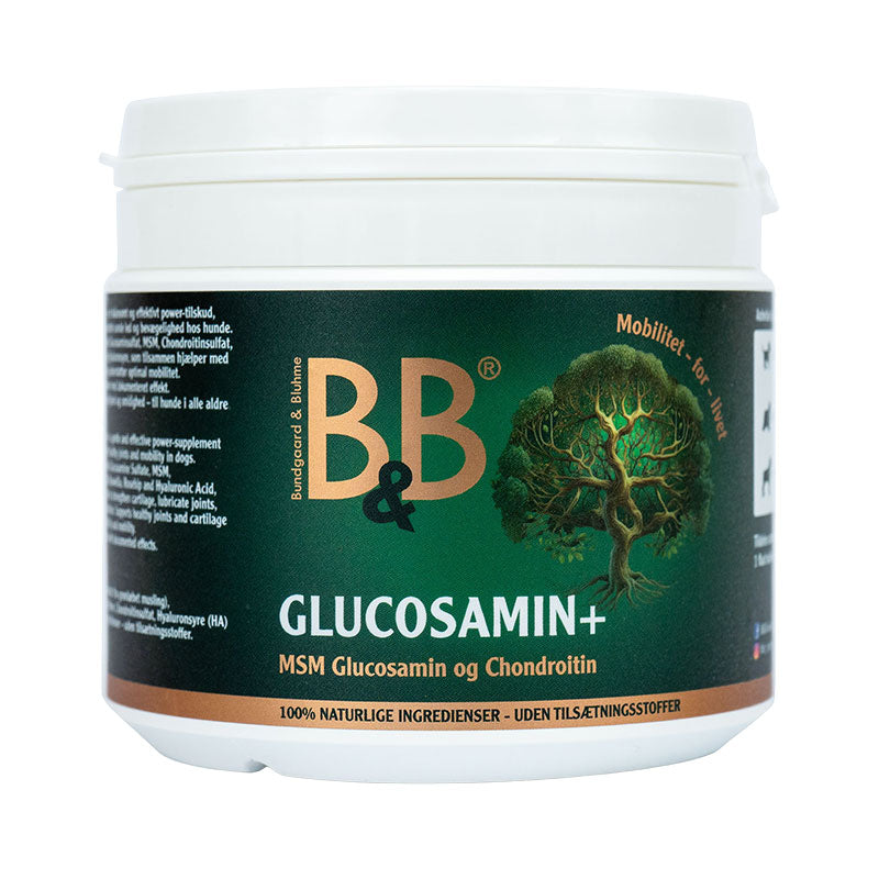 Glucosamin+