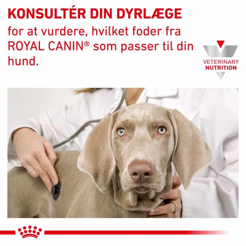 VHN Derma Hypoallergenic Small 3,5 kg