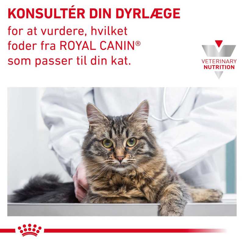 VHN Derma Hypoallergenic 4,5 kg