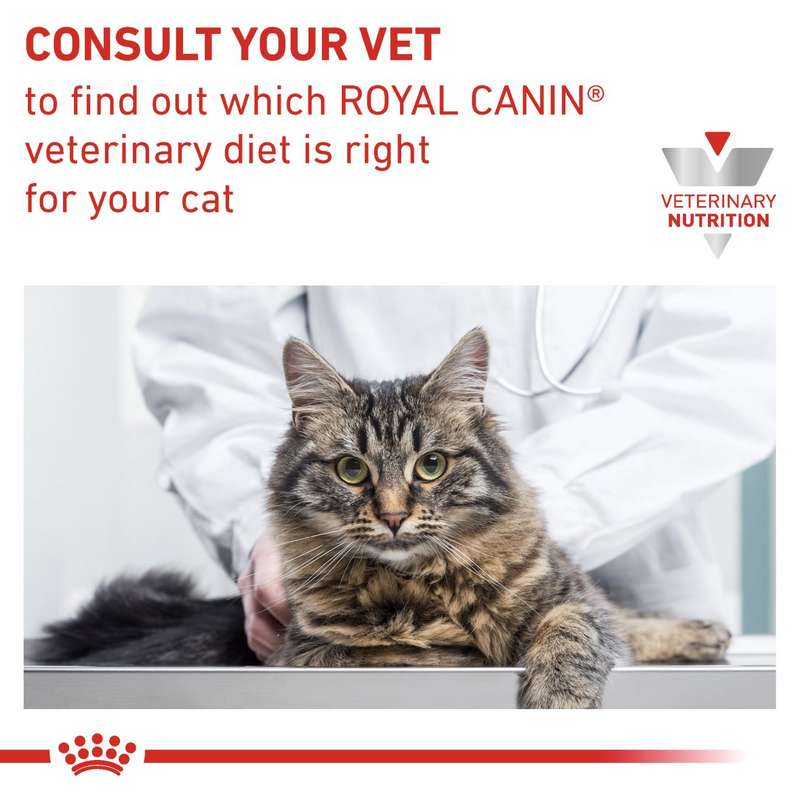 VHN Gastrointestinal 2 kg