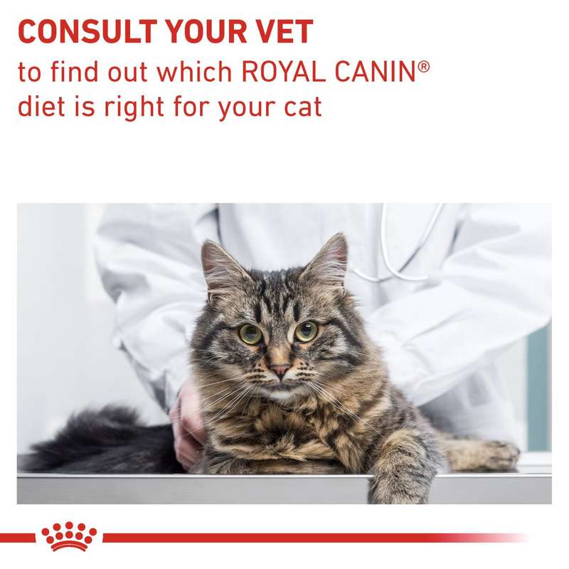 VHN Gastrointesti.Fibre Resp. 4 kg