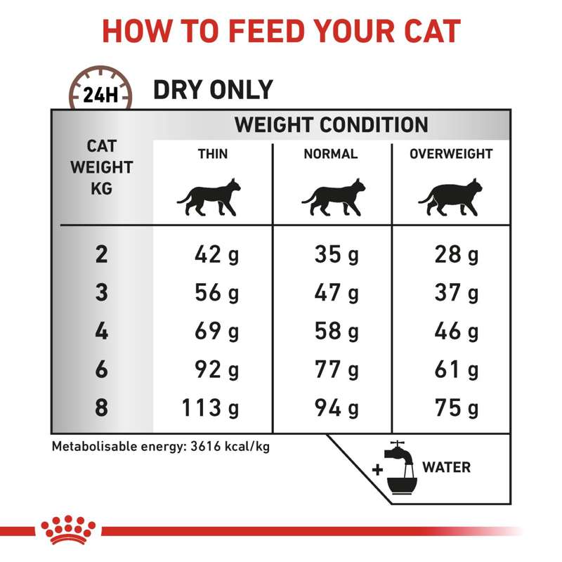 VHN Gastrointestinal Hairball 2 kg