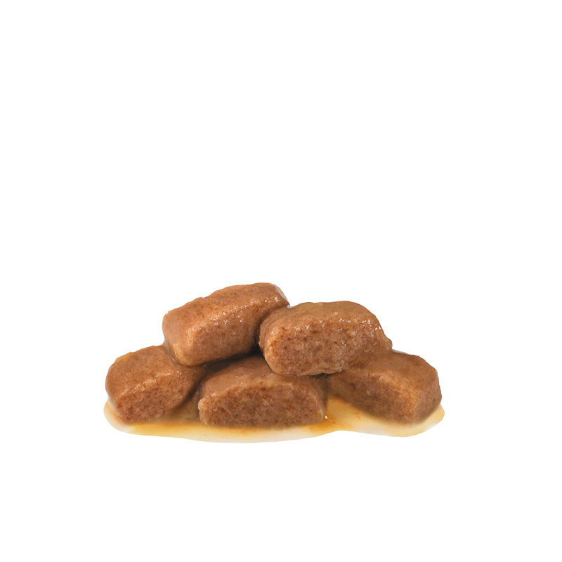VHN Gastrointestinal Gravy Pouch 12x85g