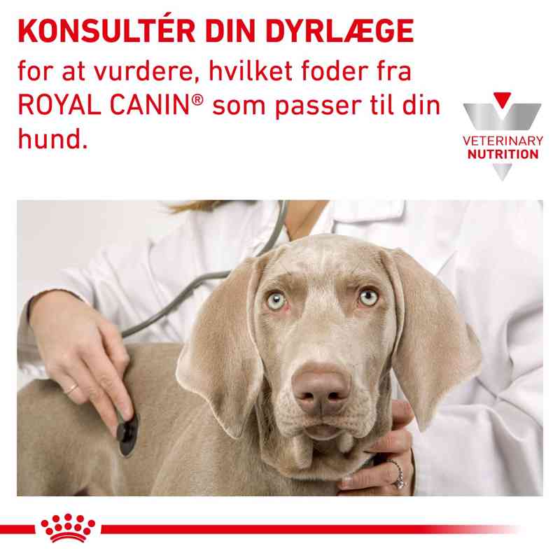 VHN DermaHypoallerg.Mod.Calori 14 kg