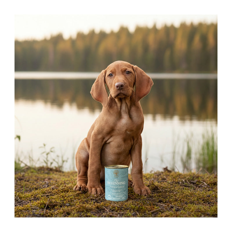 Finest snack skiver lam & brombær 110 g