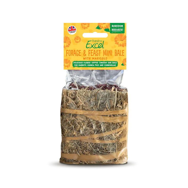 Forg & Feast Mini Bale m/morgenfrue 100 g