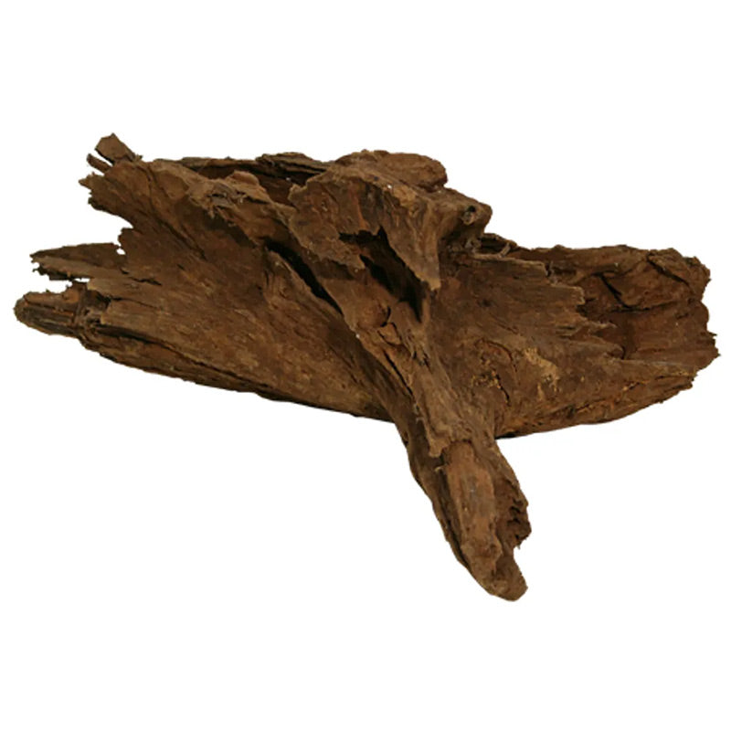Trærod - Mangrovem ca. 20-30 cm - Maxi Zoo Danmark